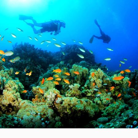 Lala Lodge Pemba Zanzibar Mgini المظهر الخارجي الصورة