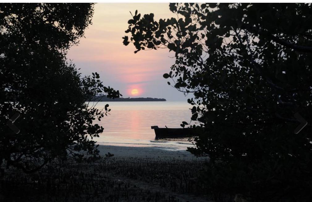Lala Lodge Pemba Zanzibar Mgini المظهر الخارجي الصورة