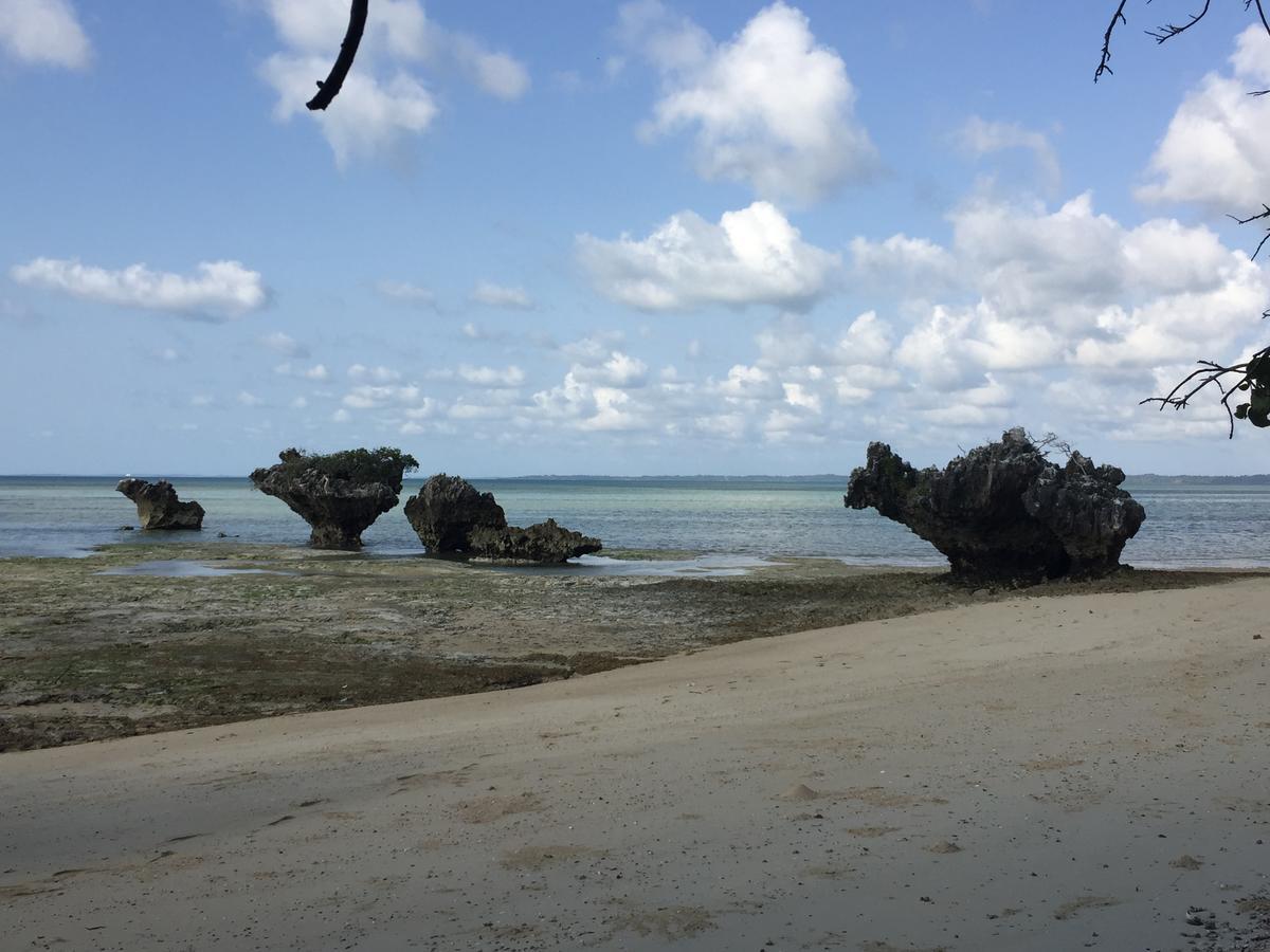 Lala Lodge Pemba Zanzibar Mgini المظهر الخارجي الصورة