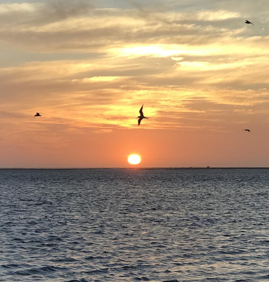 Lala Lodge Pemba Zanzibar Mgini المظهر الخارجي الصورة