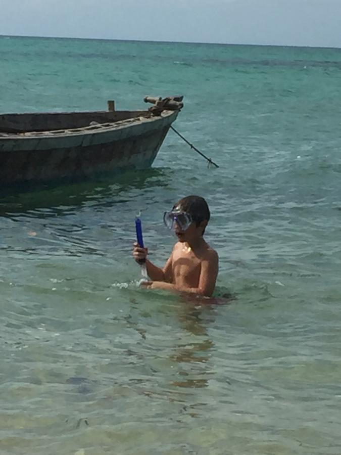 Lala Lodge Pemba Zanzibar Mgini المظهر الخارجي الصورة